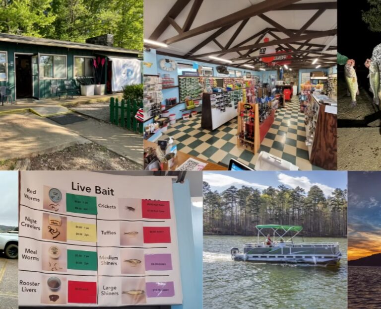 lake purdy fishing alabama boatsandcharters 768x622